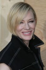 CATE BLANCHETT at Louis Vuitton Dinner Party in Paris 04/11/2017