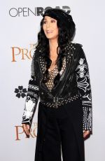 CHER at The Promise Premiere in Hollywood 04/12/2017