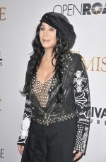 CHER at The Promise Premiere in Hollywood 04/12/2017