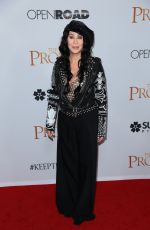 CHER at The Promise Premiere in Hollywood 04/12/2017
