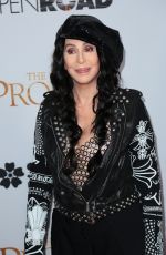 CHER at The Promise Premiere in Hollywood 04/12/2017