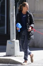 CHRISTY TURLINGTON Out with Her Dog in New York 04/08/2017