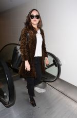 DAKOTA JOHNSON at Los Angeles International Airport 04/27/2017
