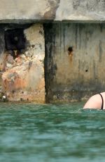 DAKOTA JOHNSON in Bikini at a Beach in Miami 04/02/2017