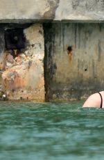 DAKOTA JOHNSON in Bikini at a Beach in Miami 04/02/2017