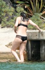 DAKOTA JOHNSON in Bikini at a Beach in Miami 04/02/2017