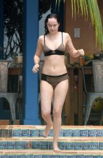 DAKOTA JOHNSON in Bikini at a Beach in Miami 04/02/2017