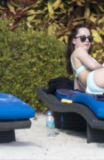 DAKOTA JOHNSON in Bikini on the Beach in Miami 04/03/2017