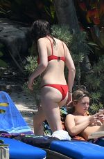 DAKOTA JOHNSON in Red Bikini at a Beach in Miami 03/31/2017