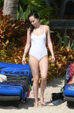 DAKOTA JOHNSON in Swimsuit at a Beach in Miami 04/02/2017