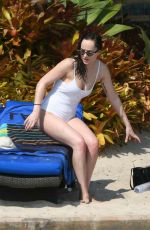 DAKOTA JOHNSON in Swimsuit at a Beach in Miami 04/02/2017