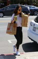 DAKOTA JOHNSON Out Shopping in Los Angeles 04/23/2017