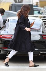 DAKOTA JOHNSON Out Shopping in Los Angeles 04/25/2017