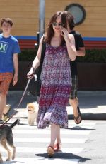 DAKOTA JOHNSON Walks Her Dog Out in Santa Monica 04/21/2017