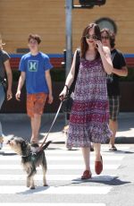DAKOTA JOHNSON Walks Her Dog Out in Santa Monica 04/21/2017