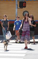 DAKOTA JOHNSON Walks Her Dog Out in Santa Monica 04/21/2017