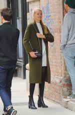 DAPHNE GROENEVELD Out and About in New York 04/24/2017