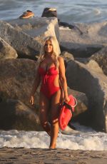 DONNA D