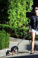 ELISABETTA CANALIS in Daisy Dukes Walks Her Dog Out in Beverly Hills 04/11/2017