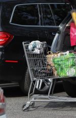 ELISABETTA CANALIS Out for Grocery Shopping at Bristol Farms in Beverly Hills 04/07/2017