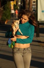ERIKA JORDAN Walks Her Dog Out in Hollywood 04/02/2017