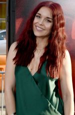 ERIN ROBINSON at Unforgettable Premiere in Los Angeles 04/18/2017