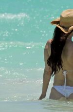 LUCILA SOLA in Bikini and Al Pacino at a Beach in Mexico 04/25/2017