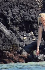 MEGYN KELLY in Bikini Top on Vacation in Hawaii 03/29/2017