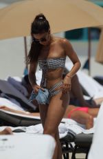 METISHA SCHAEFER in Bikini on the Beach in Miami 04/10/2017