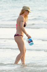 MICHELLE HUNZIKER in Bikini on the Beach in Dubai 04/11/2017