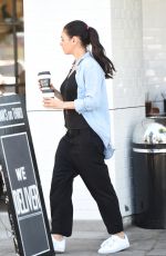 MILA KUNIS Out and About in Los Angeles 04/29/2017