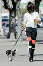 NINA DOBREV Walks Her Dog Out in West Hollywood 04/28/2017