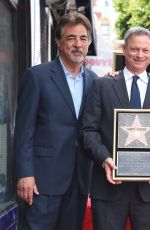 PATRICIA HEATON at Gary Sinise Honored with Star on Hollywood Walk of Fame 04/17/2017