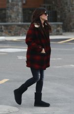 SANDRA BULLOCK Out Shopping in Los Angeles 04/09/2017