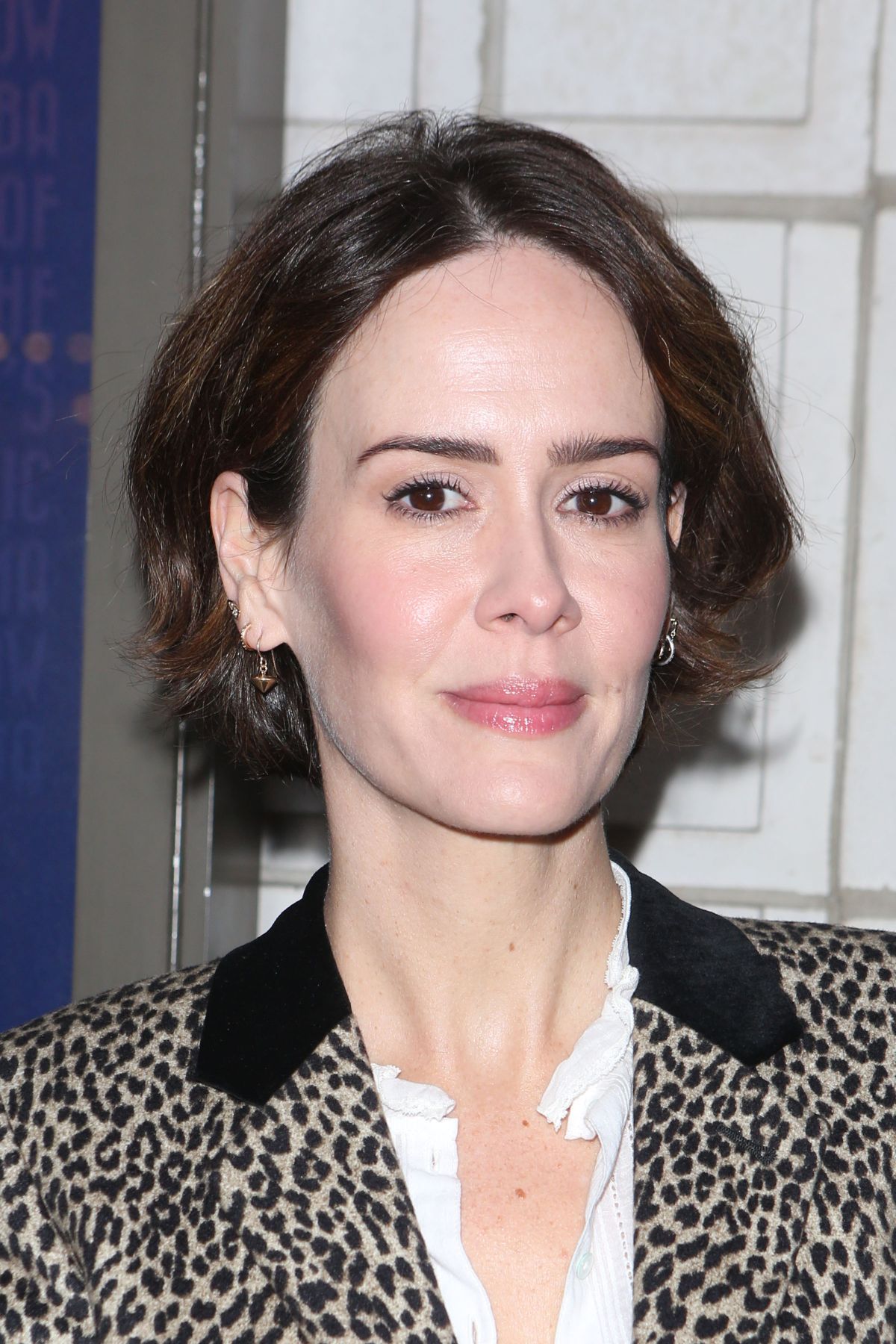 SARAH PAULSON at The Little Foxes Play Opening Night in New York 04/19 ...