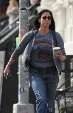 SARAH SILVERMAN Out and About in New York 04/17/2017
