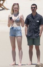 SOPHIE TURNER in Bikini in Cabo San Lucas 04/18/2017
