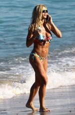 TORRIE WILSON in Bikini on the Beach in Miami 04/07/2017