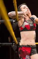 WWE -  NXT Digitals 04/12/2017