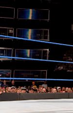 WWE - Smackdown Live 04/18/2017