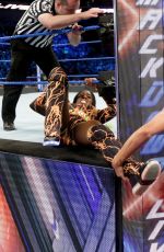 WWE - Smackdown Live 04/25/2017