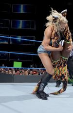 WWE - Smackdown Live 04/25/2017