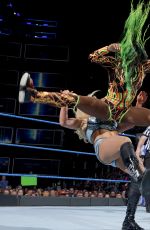 WWE - Smackdown Live 04/25/2017