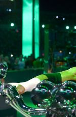 WWE - WrestleMania 33