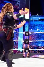 WWE - WrestleMania 33
