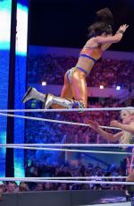 WWE - WrestleMania 33