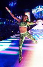 WWE - WrestleMania 33