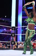 WWE - WrestleMania 33