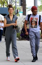 ZENDAYA COLEMAN Out and About in Los Angeles 04/26/2017