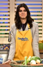 ALEXANDRA DADDARIO at Despierta America in Miami 05/12/2017